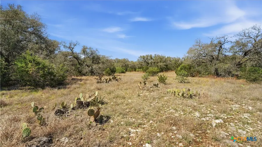 2124 Francisco Pass, Canyon Lake, TX 78133 - #3