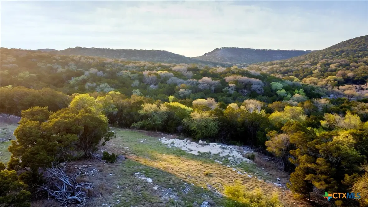 911 Flaman Road, Canyon Lake, TX 78133 - #1
