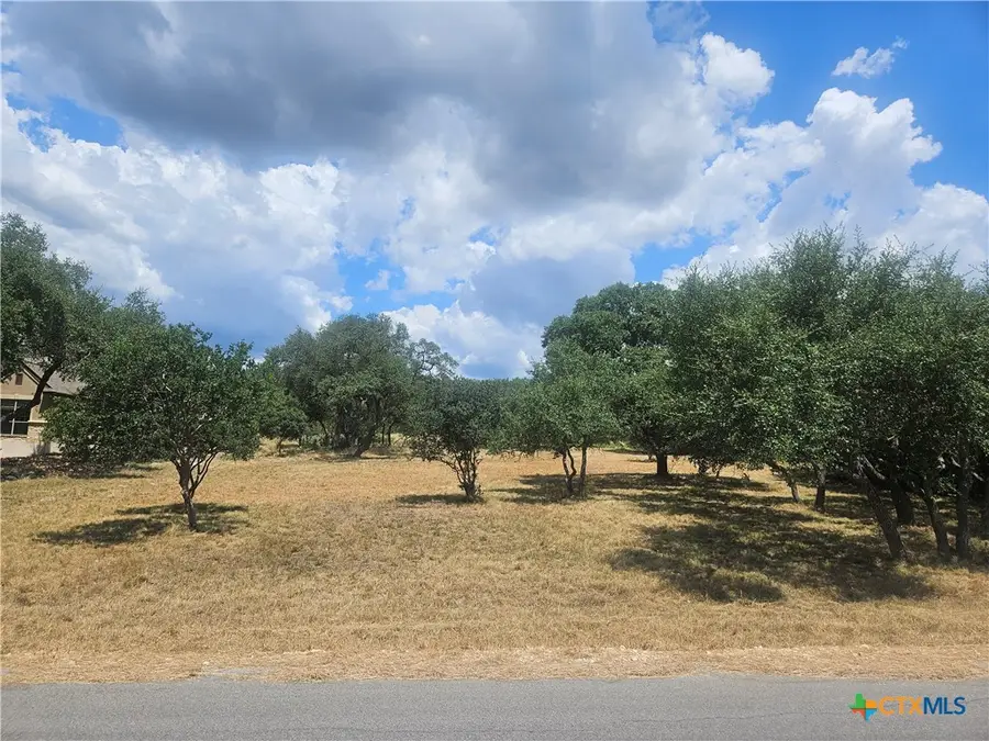 263 Paradise Hills, New Braunfels, TX 78132 - #2