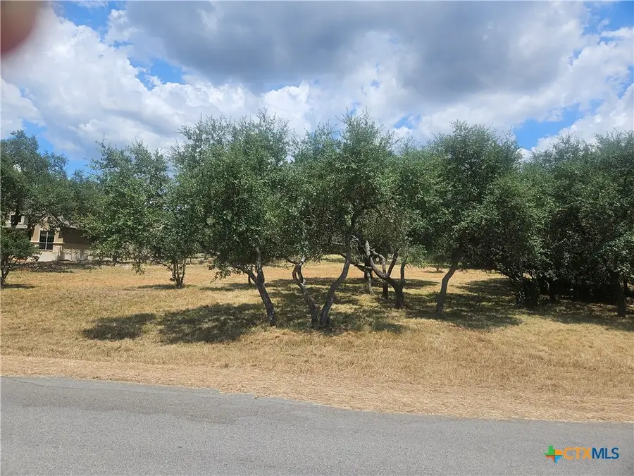 263 Paradise Hills, New Braunfels, TX 78132 - #3