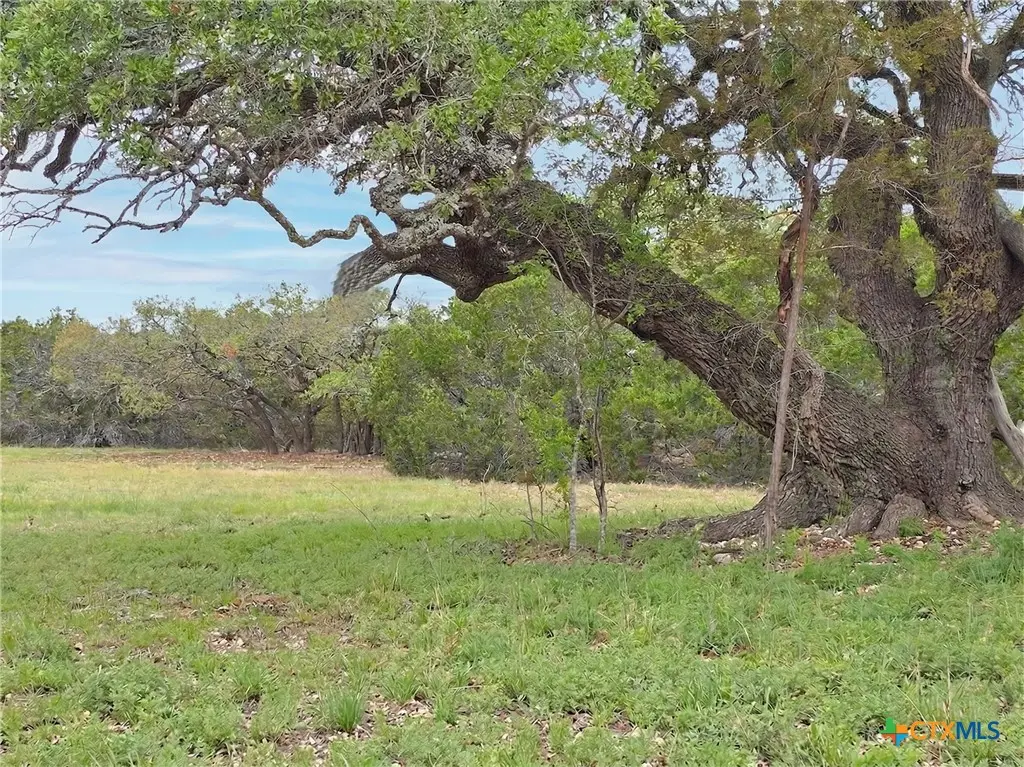 000 Cr 206, Lampasas, TX 76550 - #1