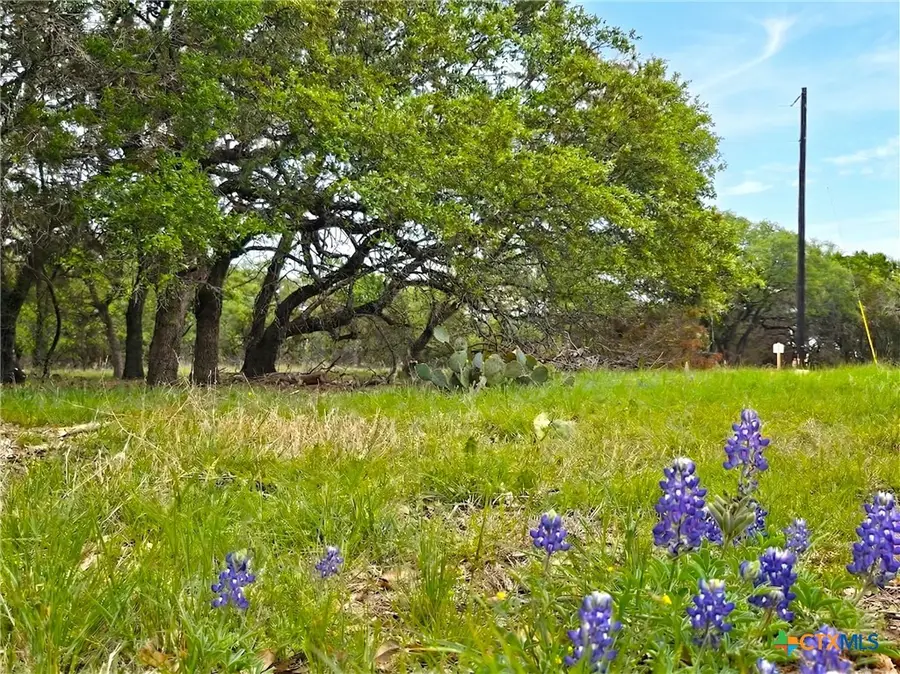 000 Cr 206, Lampasas, TX 76550 - #2