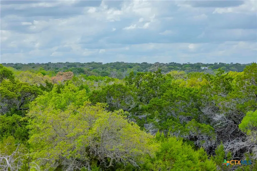 910 Abbey Road, Liberty Hill, TX 78642 - #2