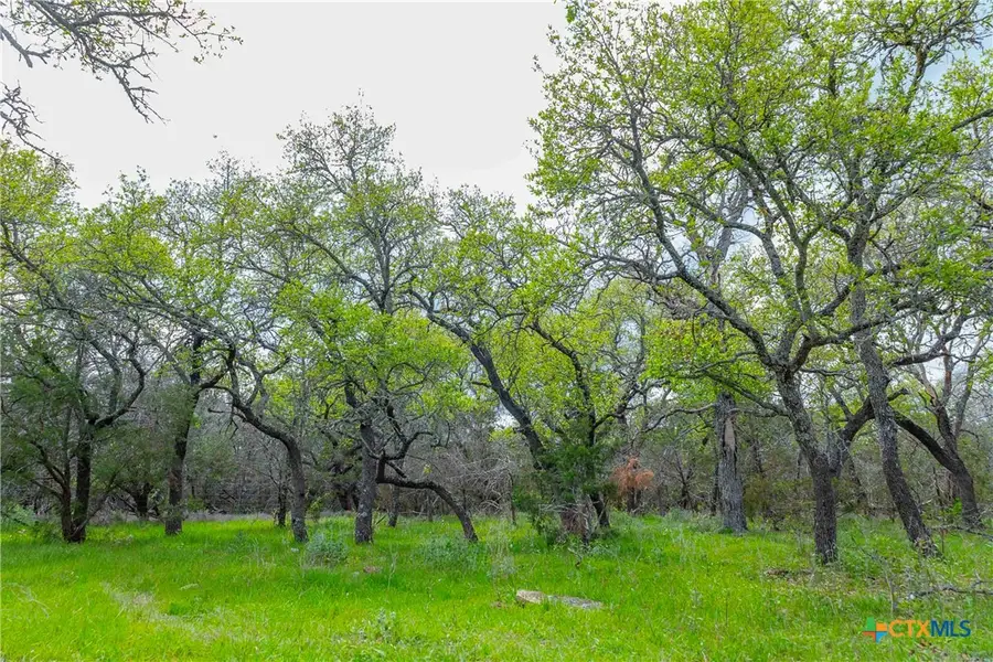 910 Abbey Road, Liberty Hill, TX 78642 - #3