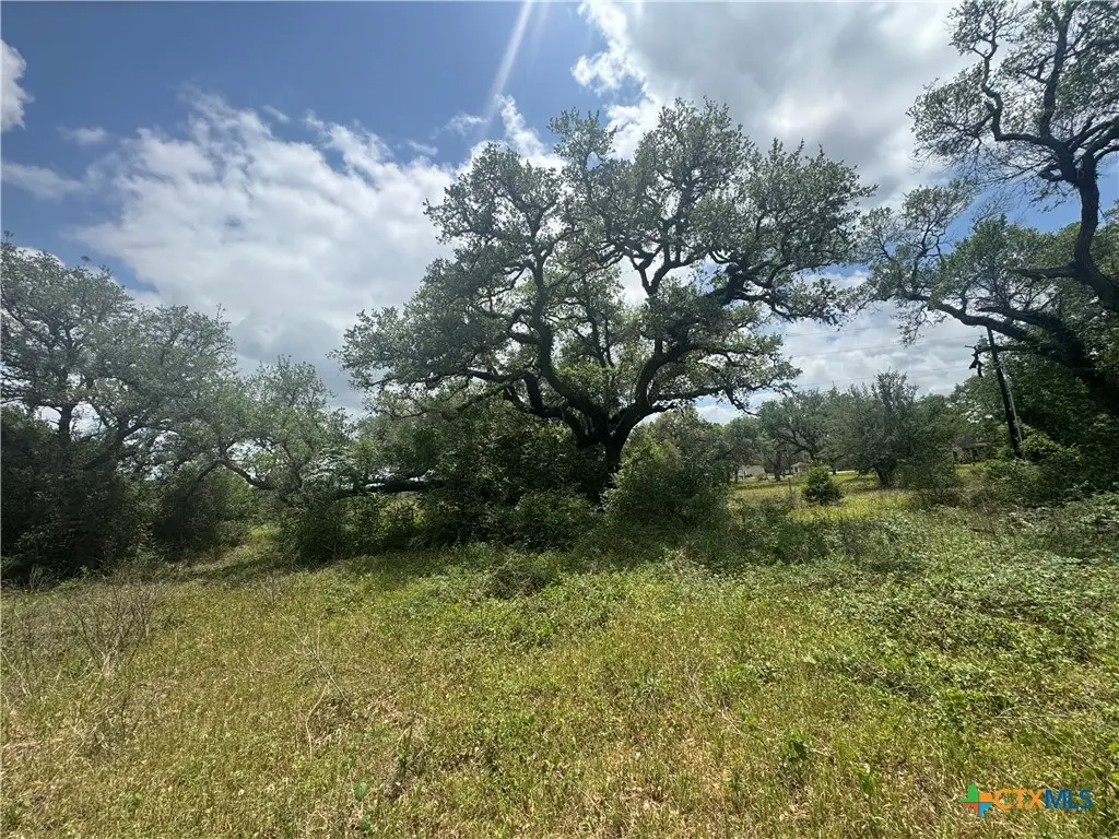 511 Richter Road, Inez, TX 77968 - #1