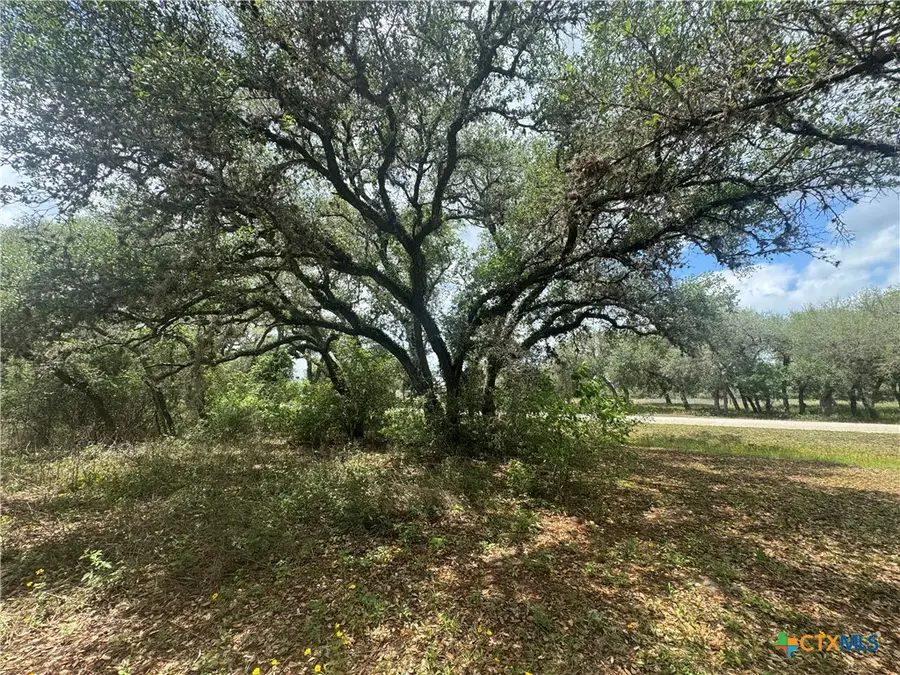 511 Richter Road, Inez, TX 77968 - #3