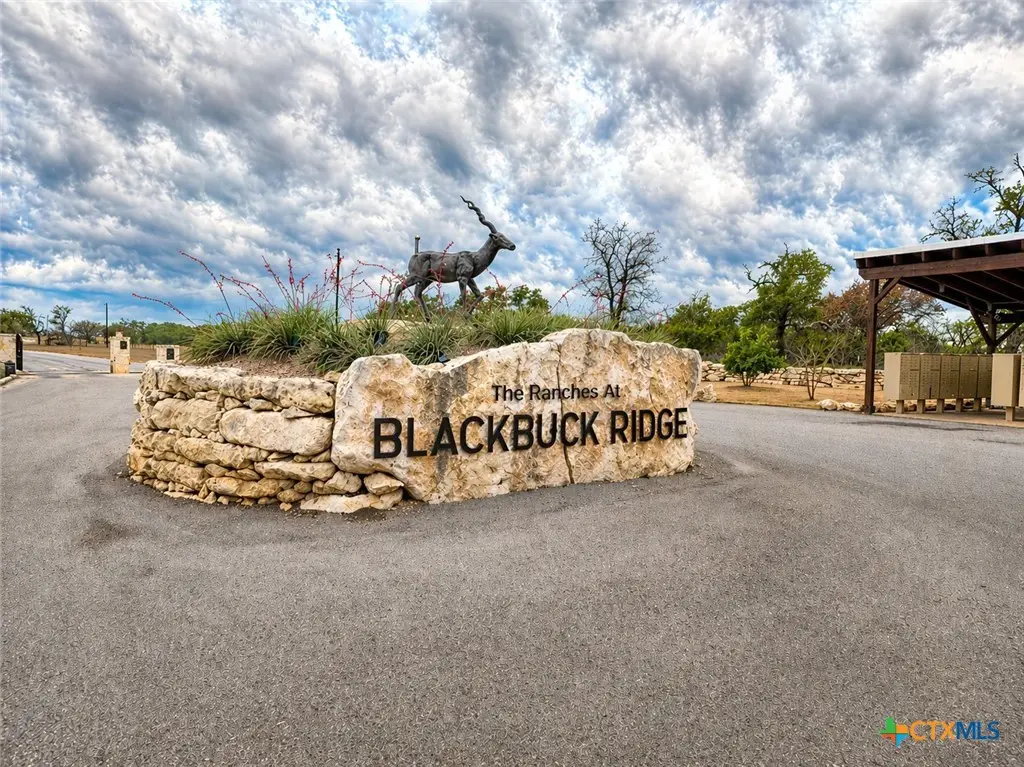 Lot 162 Addax Court, Lampasas, TX 76550 - #1