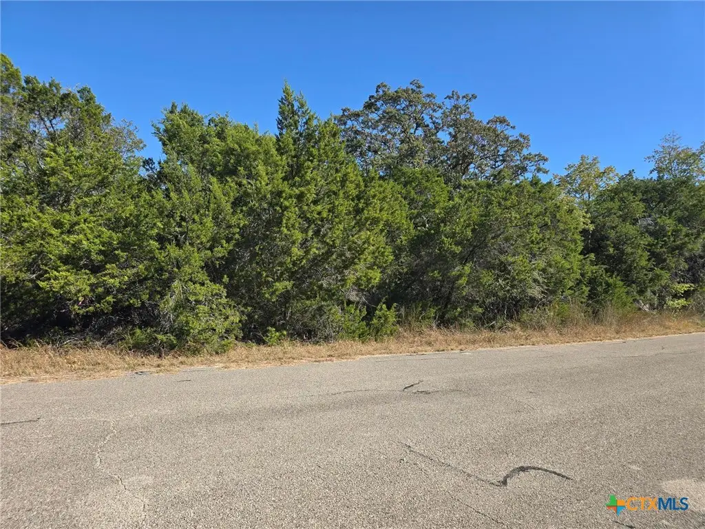 20702 Oak Ridge, Lago Vista, TX 78645 - #1