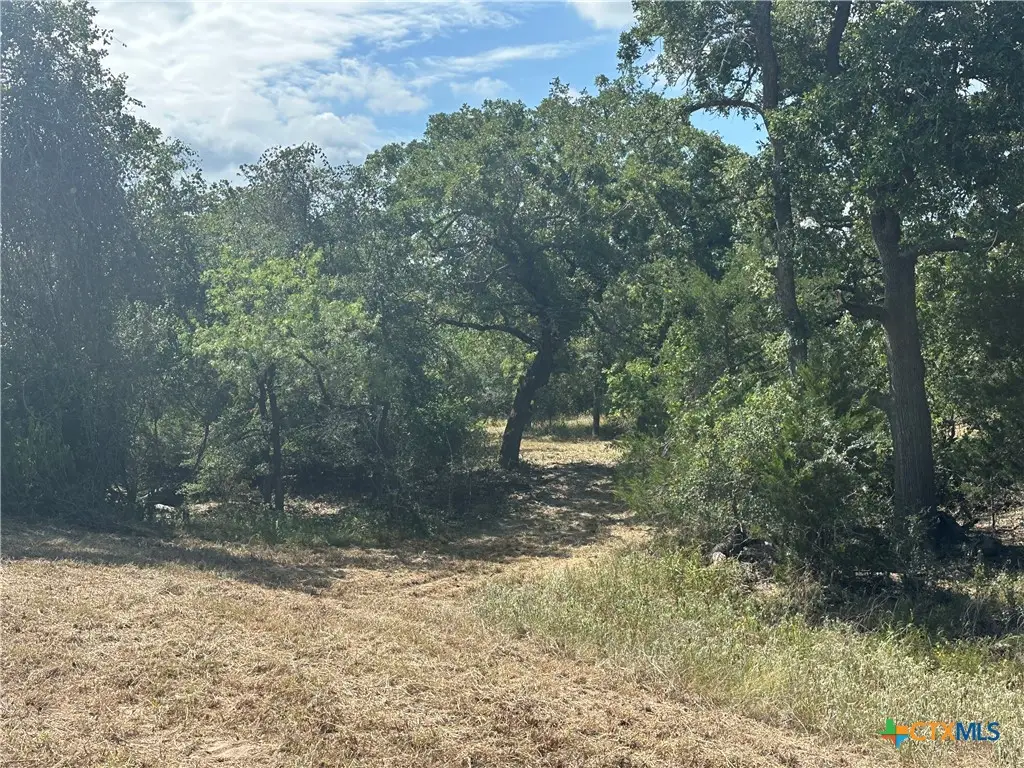 590 Coastal Lane, Luling, TX 78648 - #1