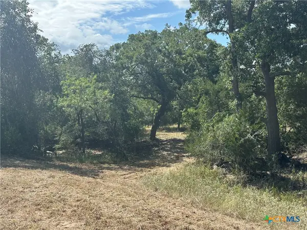 590 Coastal Lane, Luling, TX 78648