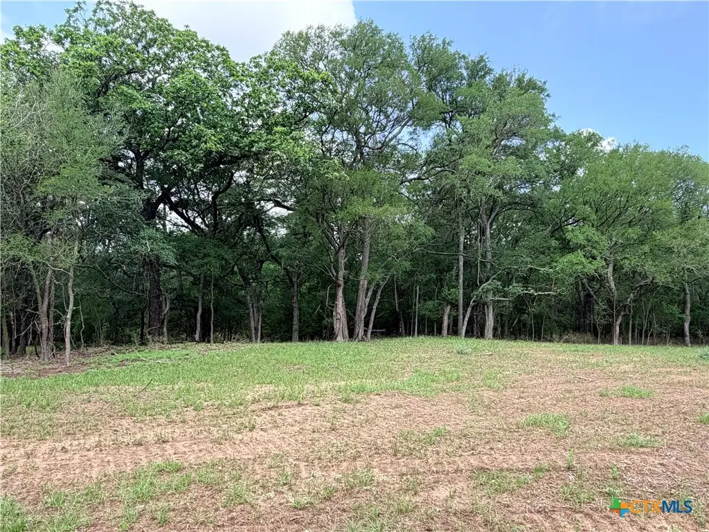 TBD Fm 86, Luling, TX 78648 - #1