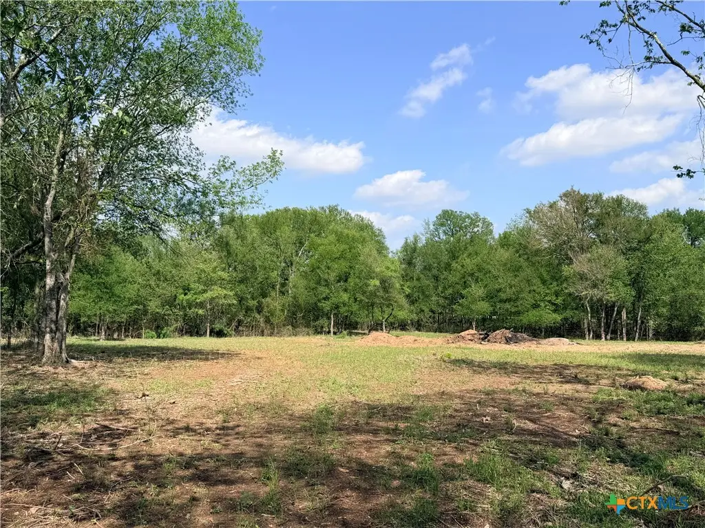 TBD Fm 86, Luling, TX 78648 - #1