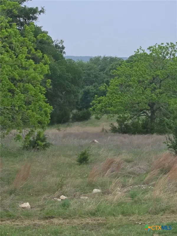 TBD Yosemite Dr. Lot# 202 Drive, Oglesby, TX 76561