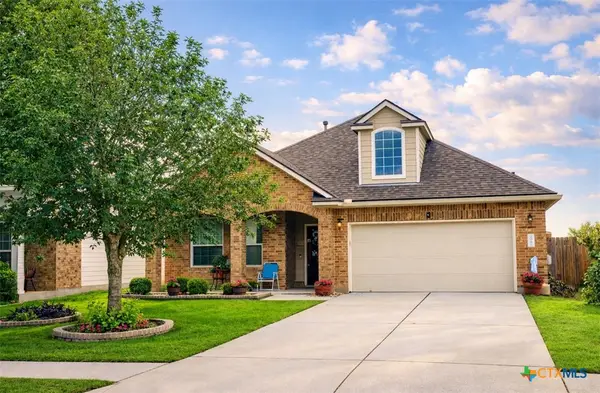 208 Birch Drive, Kyle, TX 78640