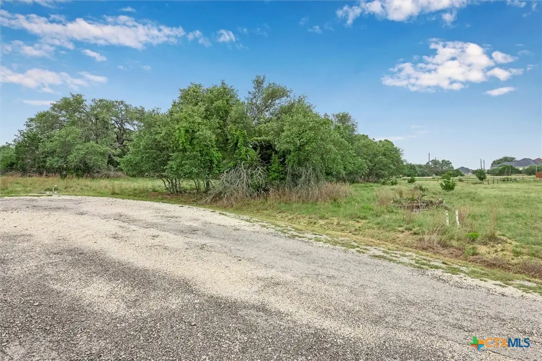 104 David Gage, Blanco, TX 78606 - #1