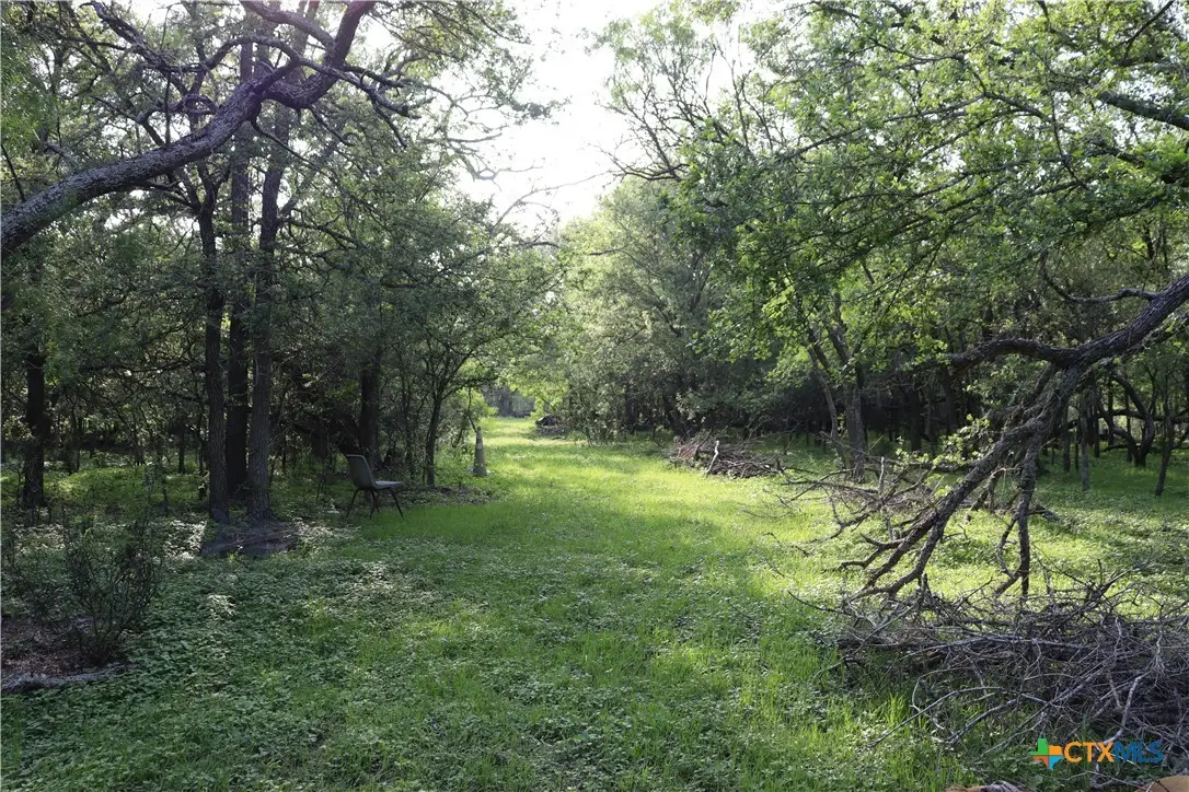 320 Hillcrest Lane, Dale, TX 78616 - #1