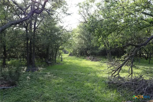 320 Hillcrest Lane, Dale, TX 78616