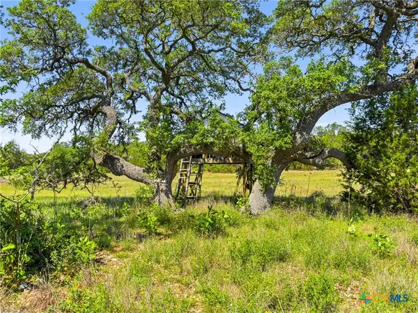 163 N Stallion Estates Drive, Spring Branch, TX 78070