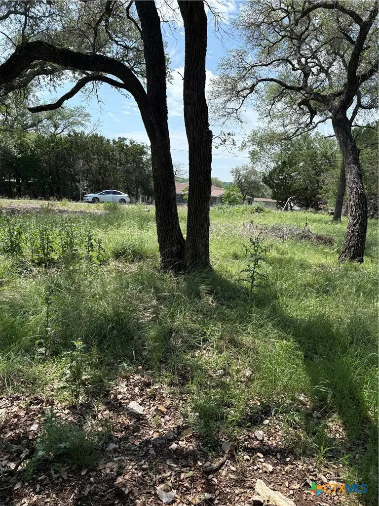 2802 Vista Trail, Belton, TX 76513 - #3
