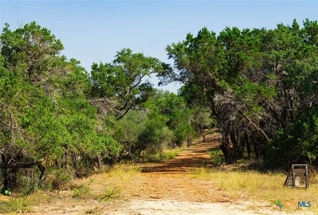 0000 Old Ferry Road, Spicewood, TX 78669 - #1