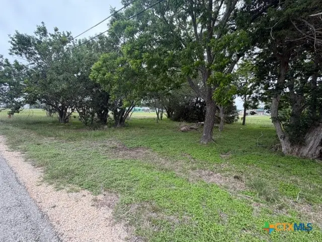 106 S Main Street, Seadrift, TX 77983 - #3