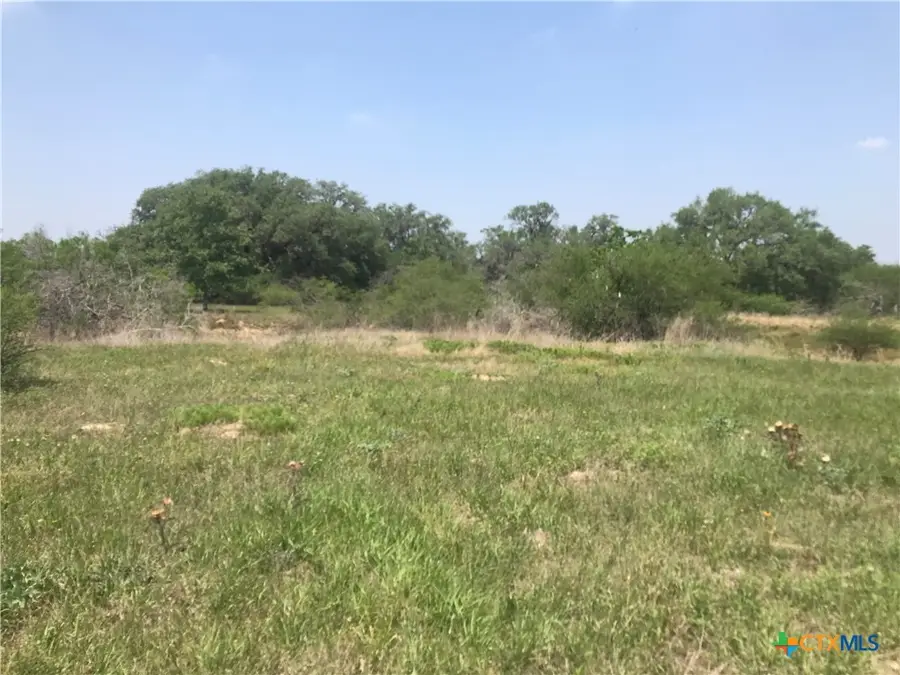 00 Quail Run Trail, Fannin, TX 77960 - #2