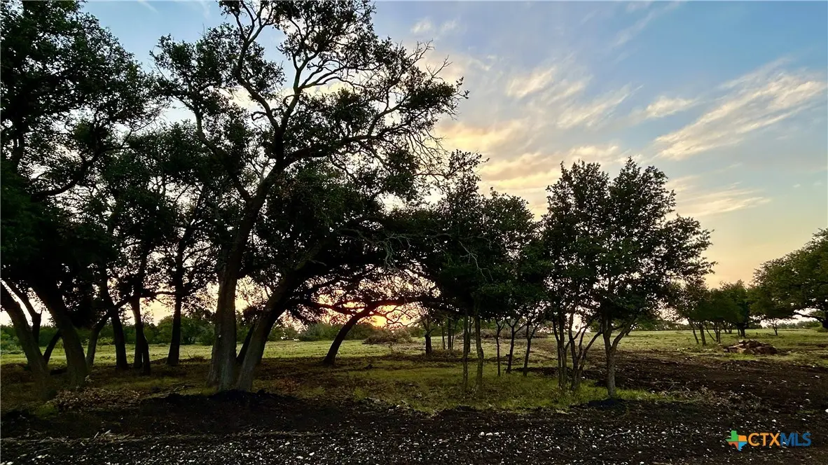 101 Pr 1295, Lampasas, TX 76550 - #1