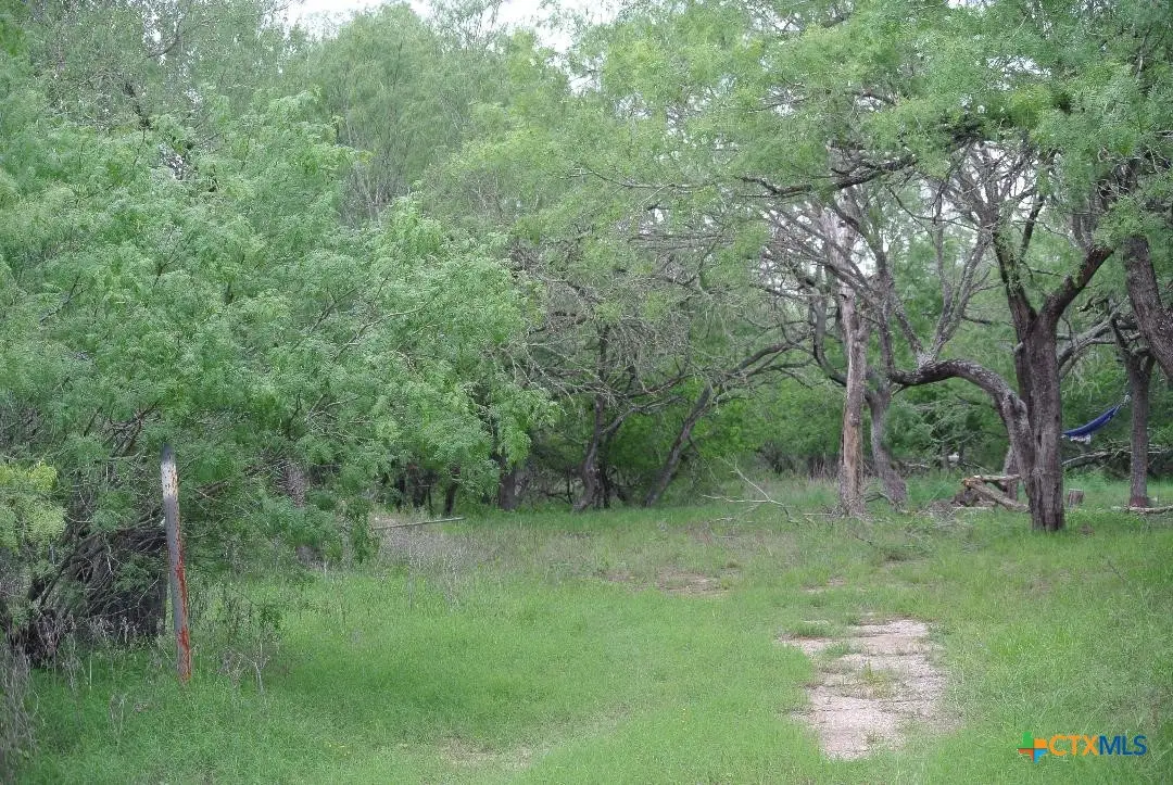 185 Campobella Lane, Kingsbury, TX 78638 - #1