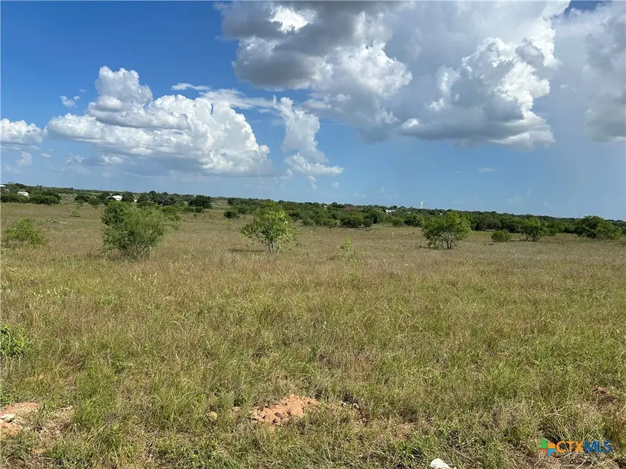 1098 County Road 329, Floresville, TX 78114 - #3