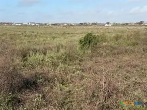 Lot 11-14 3rd Street, Midfield, TX 77458 - #2