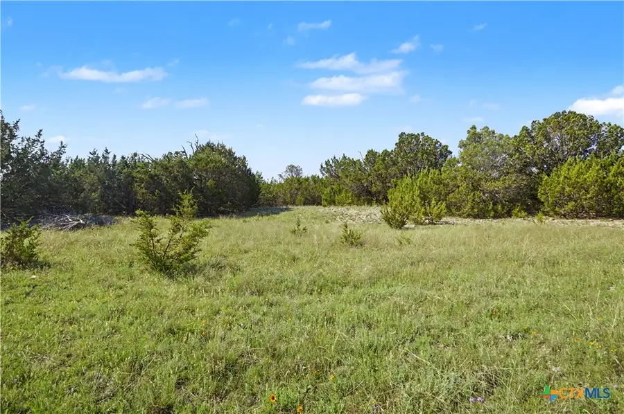 179 E County Road 318, Goldthwaite, TX 76844 - #2