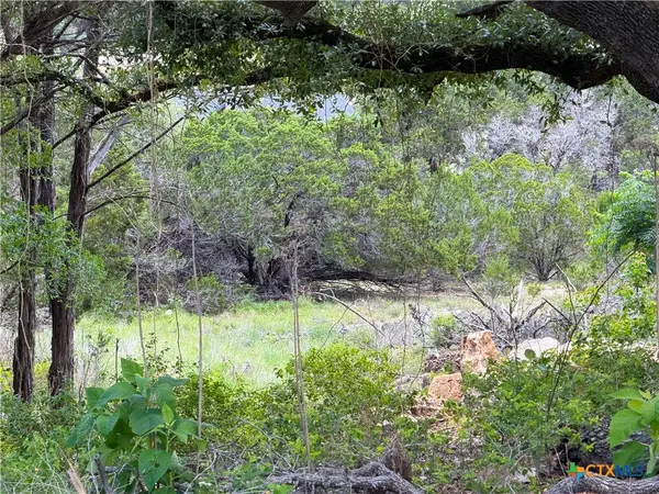 273 Scenic Drive, Canyon Lake, TX 78133