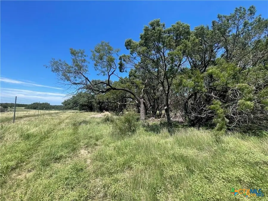 Lot 65 Estate View Circle, Lampasas, TX 76550 - #2