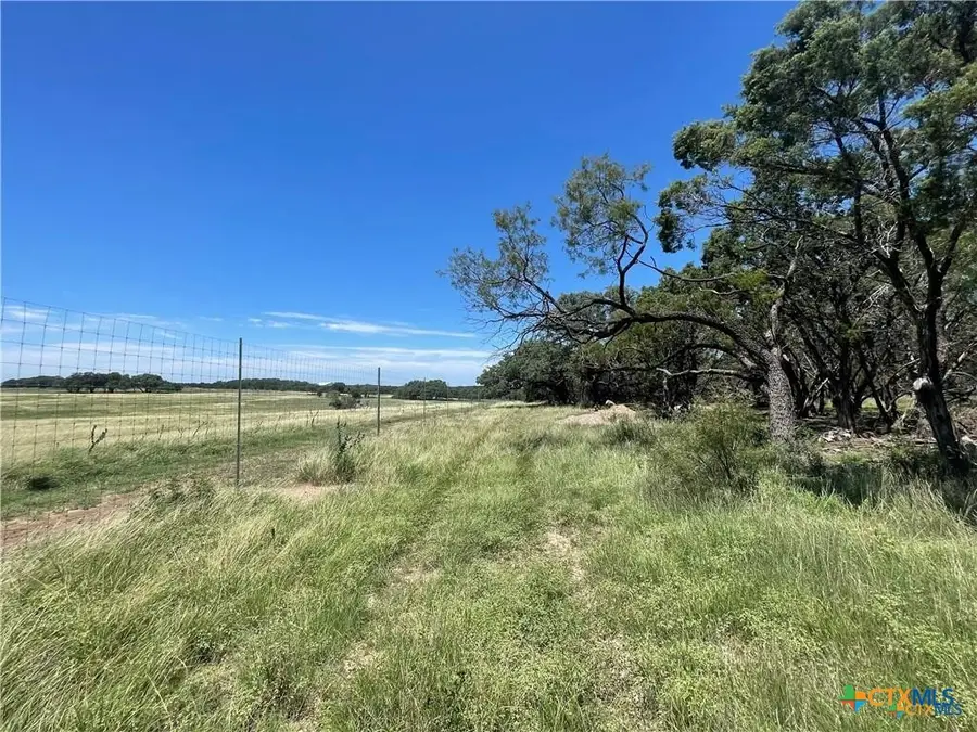 Lot 65 Estate View Circle, Lampasas, TX 76550 - #3