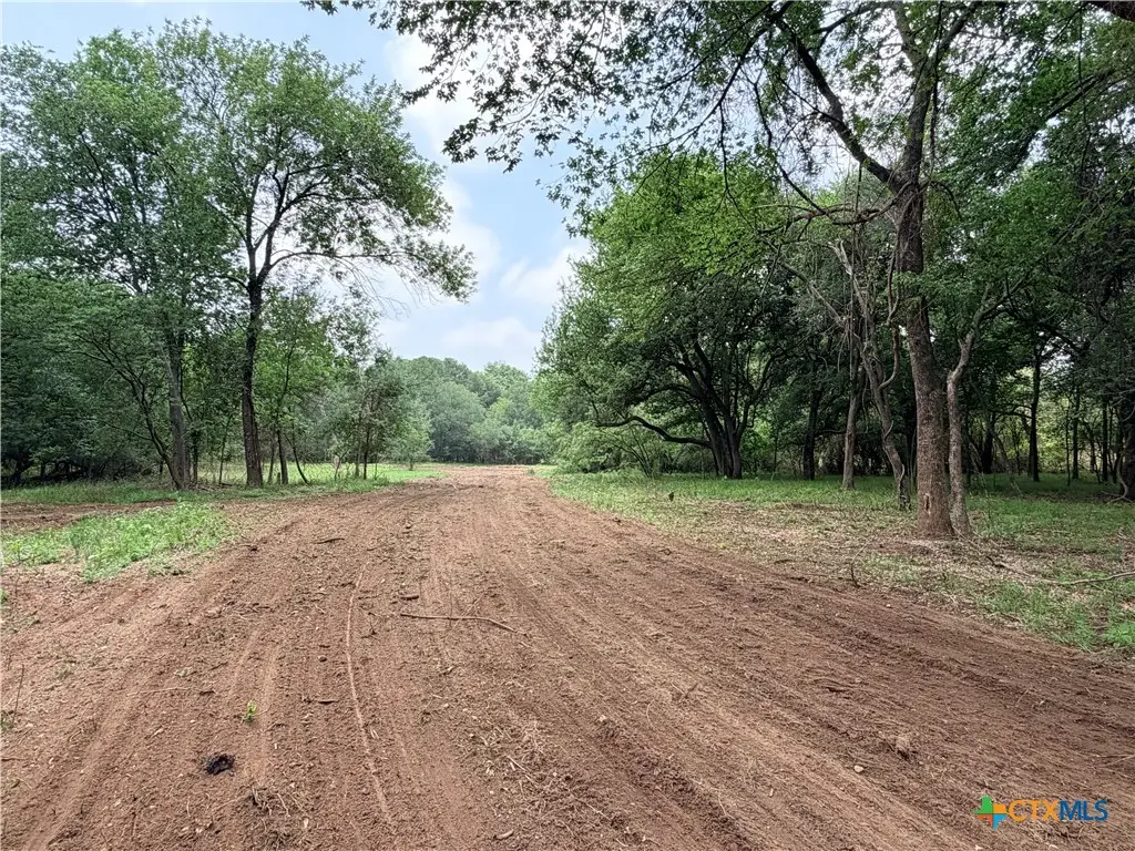 TBD Fm 86, Luling, TX 78648 - #1
