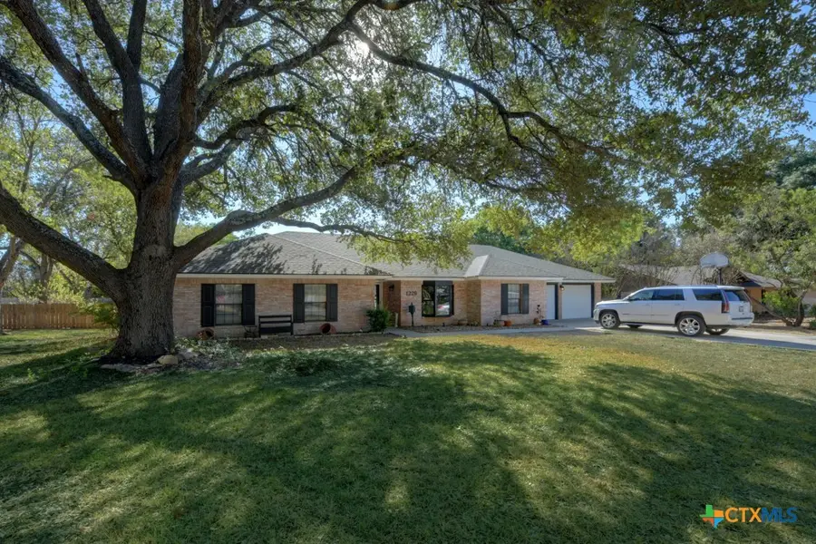 1229 Rapids Road, New Braunfels, TX 78130 - #2
