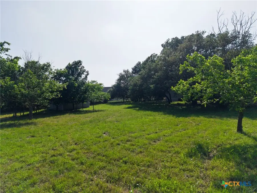 2739 Willow Loop, Kempner, TX 76539 - #3