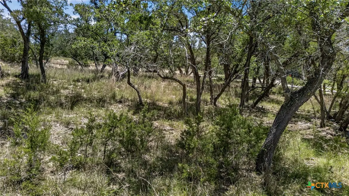00 Campbell Drive, Canyon Lake, TX 78133 - #1