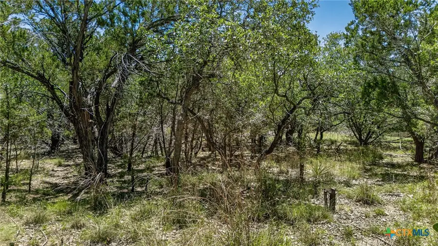 00 Campbell Drive, Canyon Lake, TX 78133 - #2