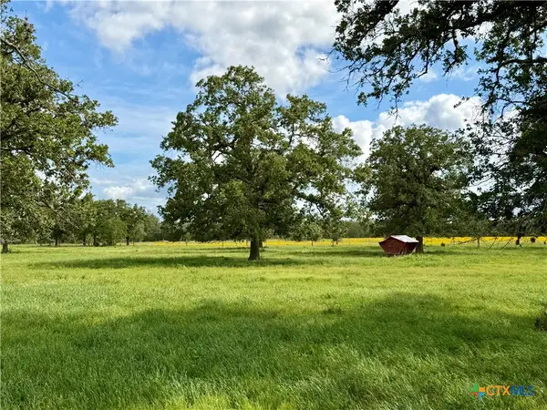 15631 Fm 682 - Tract B, Yoakum, TX 77995