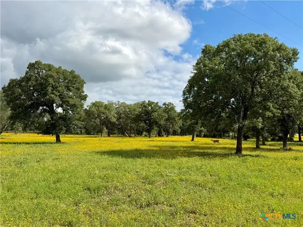 15631 Fm 682 - Tract C, Yoakum, TX 77995