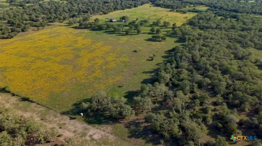 15631 Fm 682 - Tract E, Yoakum, TX 77995 - #3