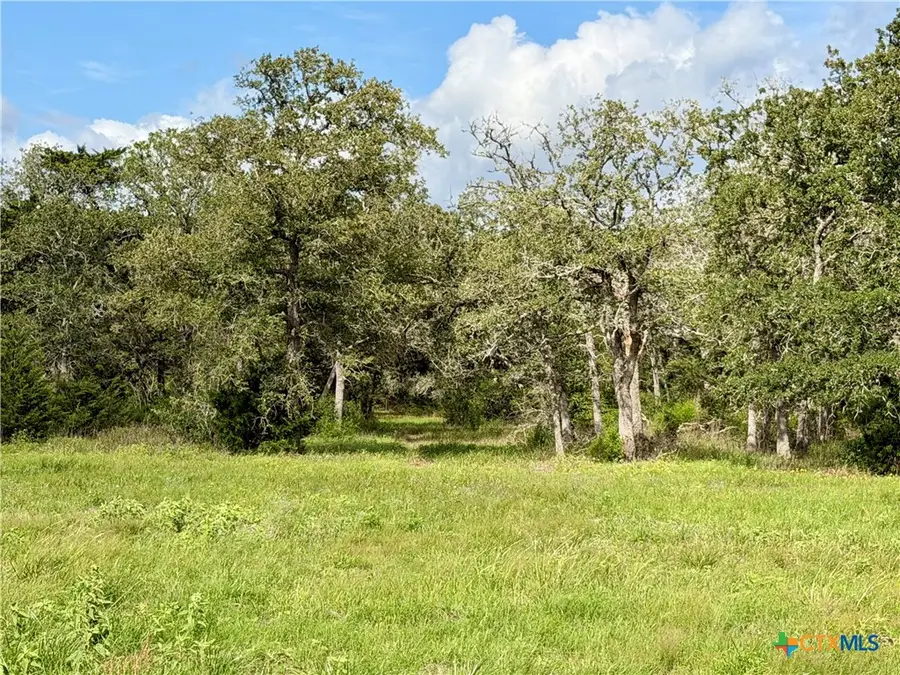 15631 Fm 682 - Tract F, Yoakum, TX 77995 - #2