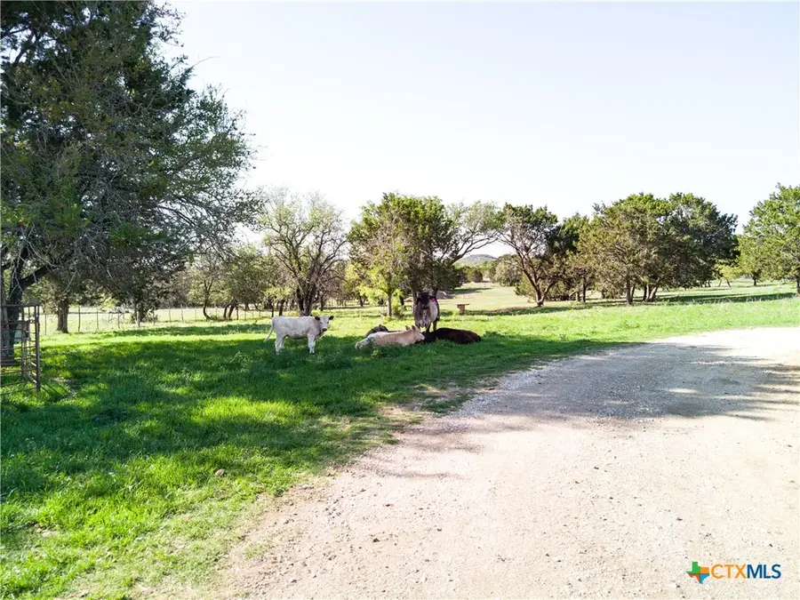 690-A County Road 4707, Kempner, TX 76539 - #3