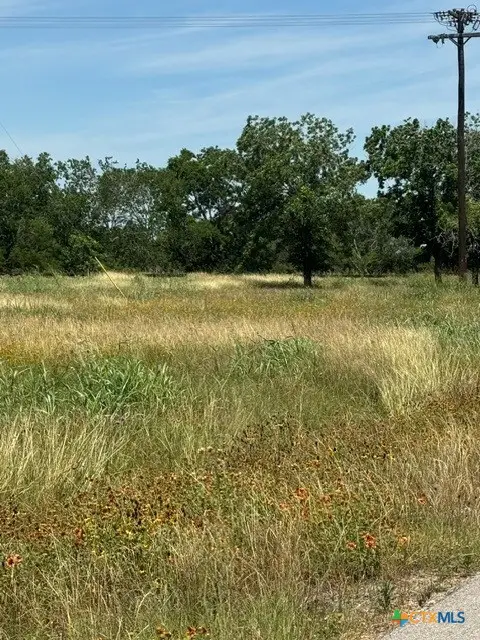 532 Old Gonzales Road, Cuero, TX 77954 - #1