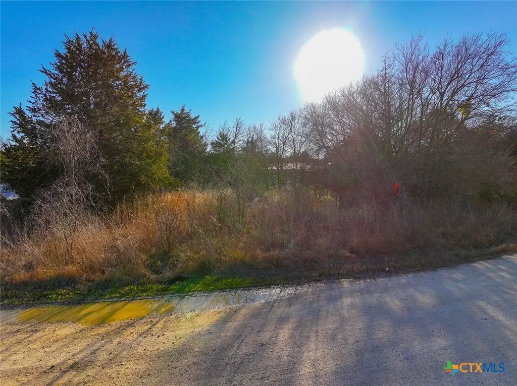 TBD NW Cr 3112, Purdon, TX 76679 - #1