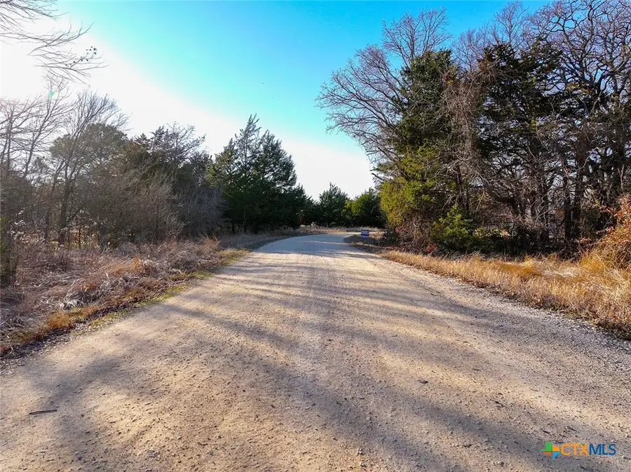TBD NW Cr 3112, Purdon, TX 76679 - #3