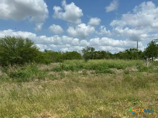 000 2506 Farm Road, Fannin, TX 77960 - #3