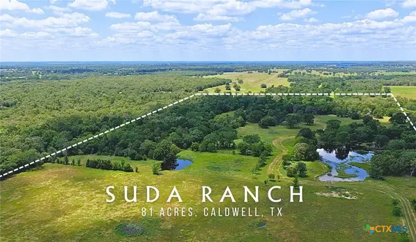 5380 County Road 132 (81.02 Acres), Caldwell, TX 77836