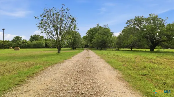 1301 Sea Willow Drive, Marion, TX 78124